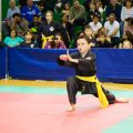 kung-fu-bambini-Feng-Huang-10