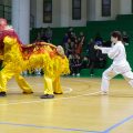tai-chi-Lisa-Trunfio-dimostrazione-con-drago