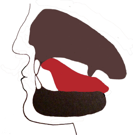 tongue position qigong